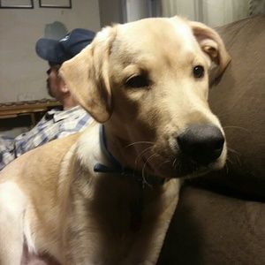 Meet your Posher, Esther